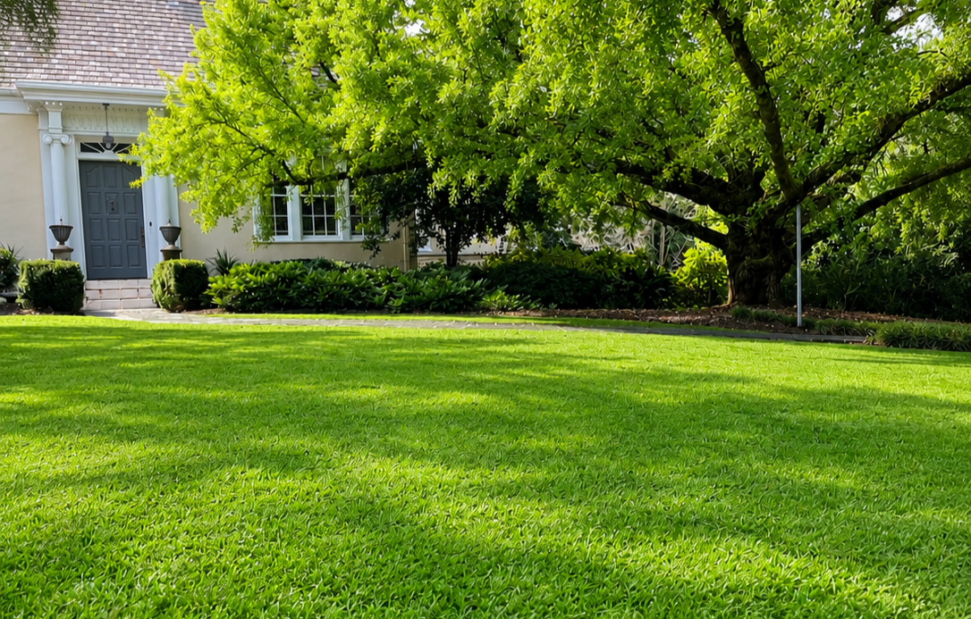 Go Green Turf — residential lawn care result